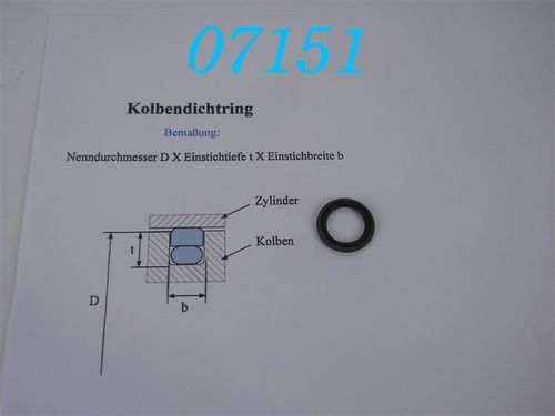 S55014-250-46 Hydraulik-Kolbendichtring 25mm Glyd-Ring Turcon-Stepseal; d:25mm; b:3,2mm; Tiefe:4mm