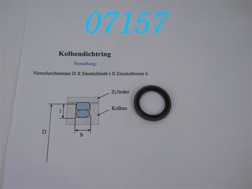 S-55044-400-46 Hydraulik-Kolbendichtung; Glyd-Ring; Turcon-Stepseal; d: 40mm; b: 4mm; Tiefe: 5,5mm