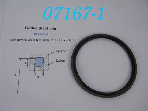 S 55044-1100-46 N Hydraulik-Kolbendichtung Glyd-Ring, Turcon-Stepseal; d: 110mm; b: 4mm; Tiefe:6mm
