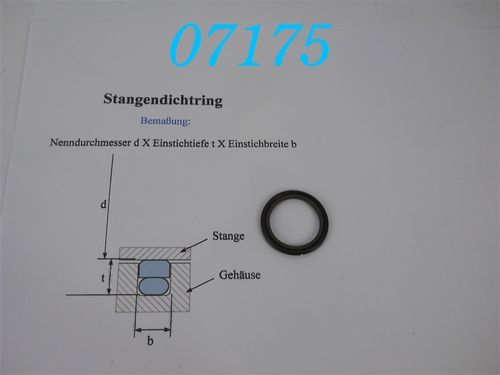 S 55045-0250-46 Hydraulik-Stangendichtung Glyd-Ring, Turcon-Stepseal; d: 25mm; b: 3mm; Tiefe: 4mm