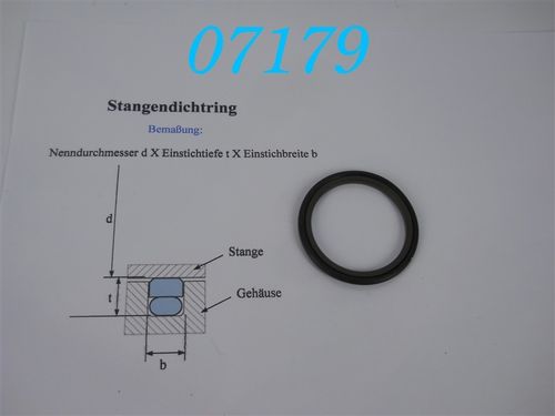 S 55045-0450-46 Hydraulik-Stangendichtung Glyd-Ring, Turcon-Stepseal; d: 45mm; b: 4mm; Tiefe: 5,5mm