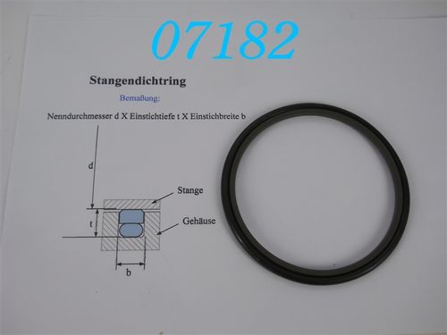 Hydraulik-Stangendichtung Glyd-Ring, Turcon-Stepseal; d: 100mm; b: 6mm; Tiefe: 8mm