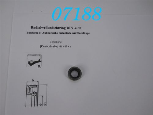 12x22x7 Radialwellendichtring, B