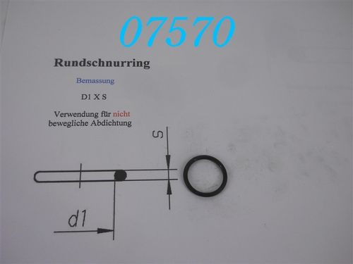 17x2 Rundschnurring